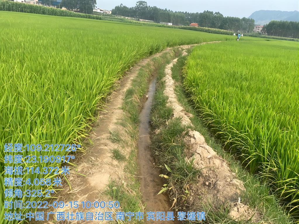 2023年宾阳县高标准农田新增建设项目（黎塘镇新圩村）
